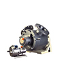 MasoSine SPS Pump